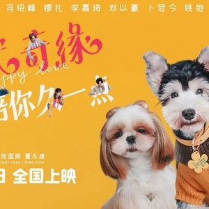 《爱犬奇缘》电影票去哪里买便宜？特价电影票领取攻略！